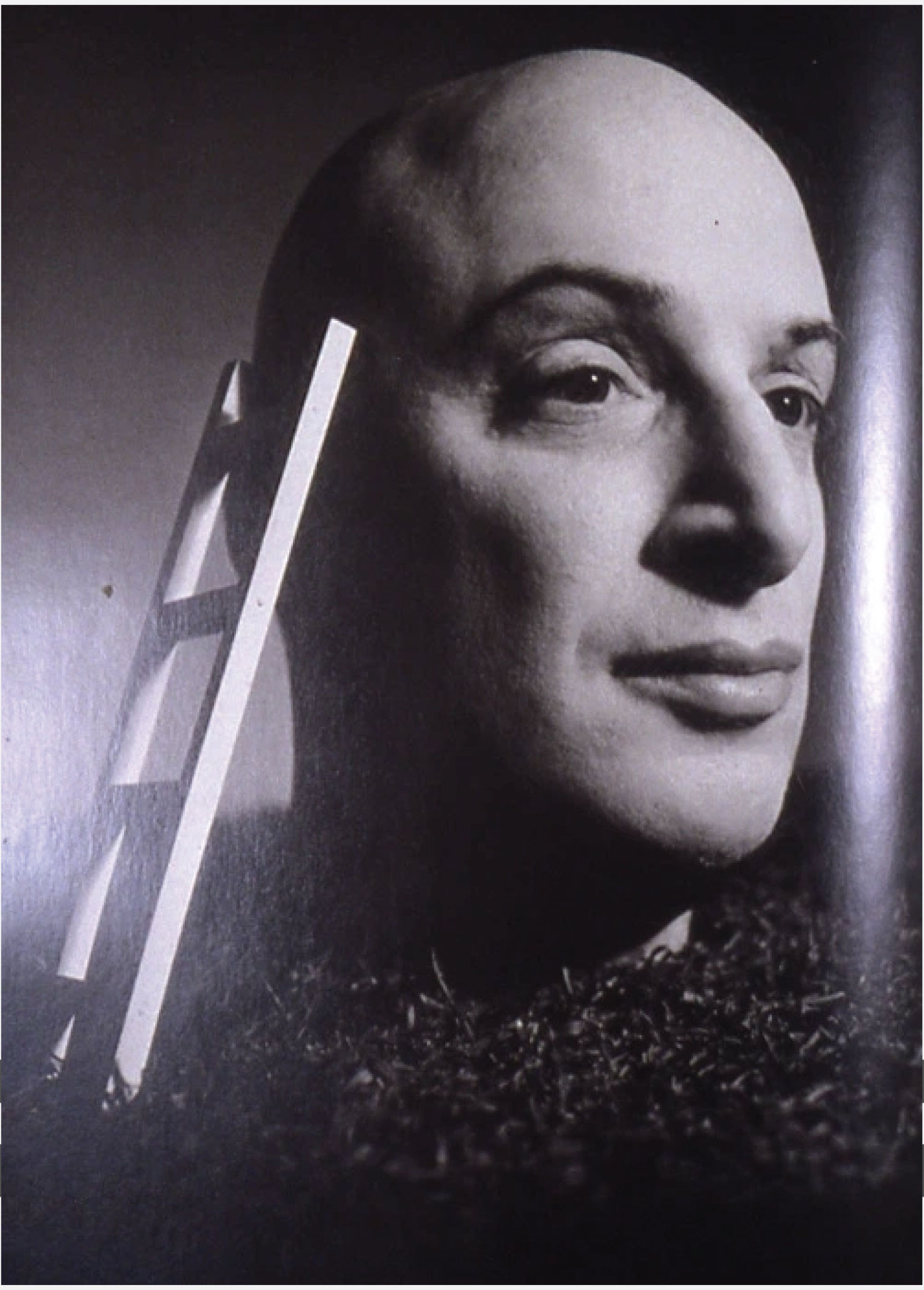 dan friedman ladder head