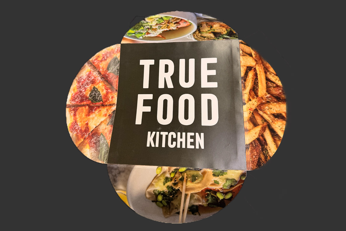 tri fold brochure