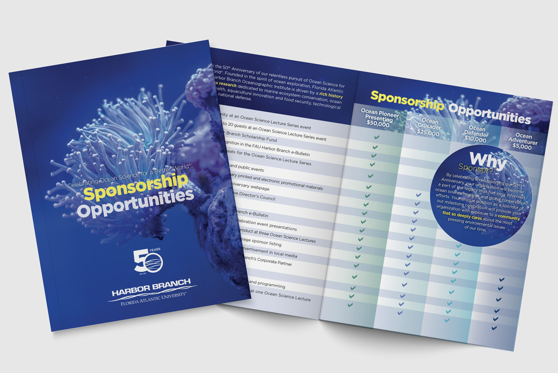 branding: brochures
